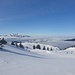 kurz vor dem Freschenhaus, der Nebel so hoch (1500m), dass der Alpstein ganz klein wirkt....