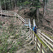 Steig am Ruggbach