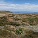 Was ich erst für den Mount Kosciuszko hielt, ist der Buffalo Mountain.