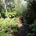 Mountain Creek