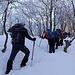 Salita nel bosco