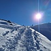 Der Sonne entgegen