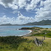 Unterwegs auf der Îlet Pinel - Blick über den südöstlichen Strand der Insel. Hinten ist St. Martin zu sehen.