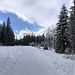 Gut präparierter Wanderweg im Falzthurntal.