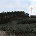 Židovský vrch (Judenberg/Hohe Juden Berg)