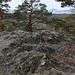 Židovský vrch, Sandstein, Verwitterungsform (tschech.: <a href="https://cs.wikipedia.org/wiki/%C5%A0krapy" rel="nofollow">pseudoškrapy</a>) 