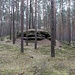 Sandstein im ebenen Wald
