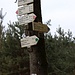 Wegweiser