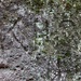 Felsenweg, Inschrift KHO