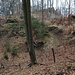 Slatinné vrchy, Blick zum Hauptgipfel, direkter Übergang unbegehbar wegen Schonung