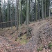 Slatinné vrchy, Talabstieg zur Zaunecke