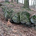 Slatinné vrchy, Schürfmulde/Tagebau