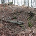 Slatinné vrchy, Schürfmulde/Tagebau
