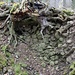 Slatinné vrchy, Basaltzersatz/Brekzie