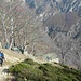 Le baite di Cùrt Lùar; le baite di Ludo Termine si trovano un po’ più in basso, ma sono state inghiottite dal bosco.