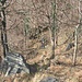 Dopo Colloro si ritorna nel bosco e si va verso Vogogna.