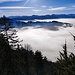 Über dem Nebel