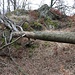 Schürfmulde/Tagebau