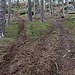 Motocross-Spuren - irre