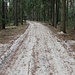 Sandweg