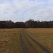 Wiesenweg