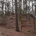 Šibeniční vrch (Tschöpelberg)