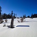 Kaum berührte Freiflächen in der Nähe der Piste.