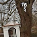 Baumdenkmal vs Baudenkmal