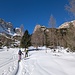 Vers 1920m, enfin sortis de la forêt de pins nains.