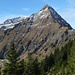 Drunengalm und Fromberghorn hinter der Alp Oberniesen.