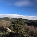 Wolkenwale am Hauptkamm