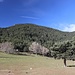 Wiese hinter dem Cerro del  Reajo Alto