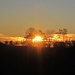 Bei Hüttenreute I - Sunrise