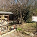 Hotel Insetti