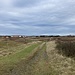 Wanderweg im Westen Spiekeroogs. Das wird wohl die Trasse der Inselbahn gewesen sein.