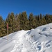 Auf der markierten Route hatte es noch eine gute Spur