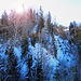 Blick zur Burgruine Moregg.