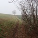 Un paysage réduit à presque rien par le brouillard