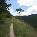Schöner Wanderweg nach Campo di Giove.