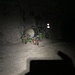 Überwinterer im Schutze des windlosen Tunnels