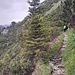 Relativ einfache Wanderwege zu Beginn