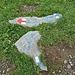 Originelle Wegmarkierung. Die hätte auch [u Stefan_83] gefallen. :-(