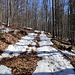 Bild vom 08.02.25, noch reicht der Schnee in diesem Abschnitt (ca. 50m), ansonsten ist die Schneelage für diesen Aufstiegsweg  bestens.