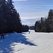 Die Abfahrt über die Stierwiese kann man entweder genießen oder sportlich hinter sich bringen. Im unteren Teil bleiben wir links um direkt zum Auto fahren zu können.