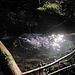 Glitzern