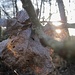 Zauberhaftes Licht mit zauberhaftem Blattwesen