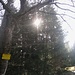 Am Waldrand ein alter Wegweiser nach Taisersdorf