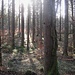 Eng umschlungen