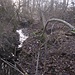 verwunschener Oberlauf I