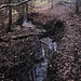 ... wechseln sich mit sumpfig-flachen Abschnitten ab